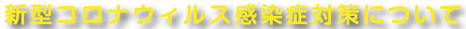 新型コロナウィルス感染症対策について